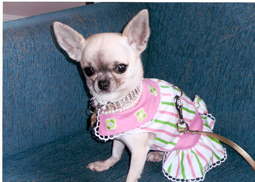 Princess Bibi 3