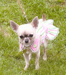 Princess Bibi 2