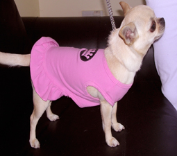 Boo in Pink Sundress
