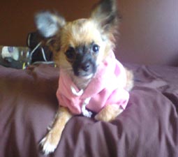 Peanut pink hoodie