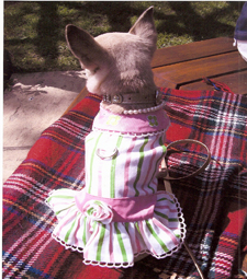 Princess Bibi