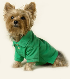 Polo Harness T Shirt