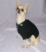 Polo Harness T Shirt