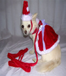 Velvet Santa dress