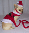 Velvet Santa Suit