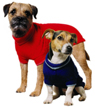 Knitted sweater