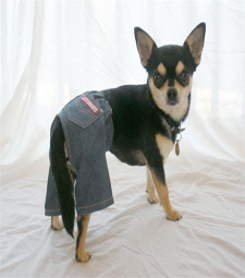 Designer Jeans
