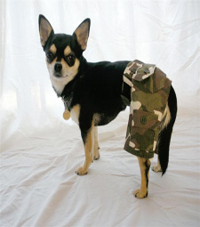 Cargo Pants