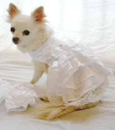 Bridal gown