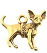 Chihuahua Charm