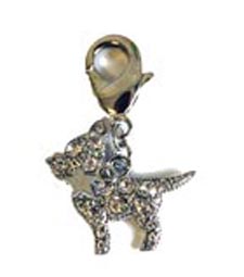 Chi Charm