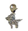 Chi Charm