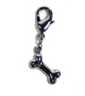 Bone Charm