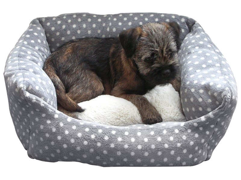 Dotty bed
